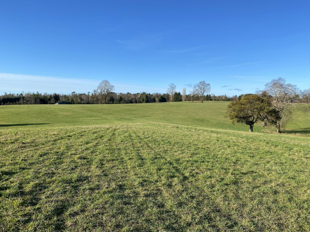 Campo en Villarrica