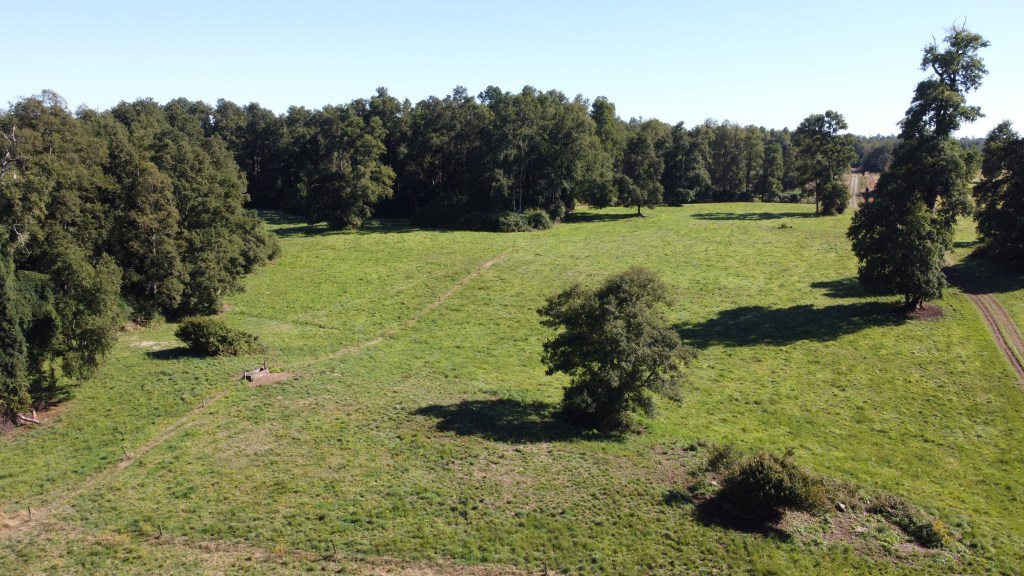 Campo cerca del&nbsp;Lago